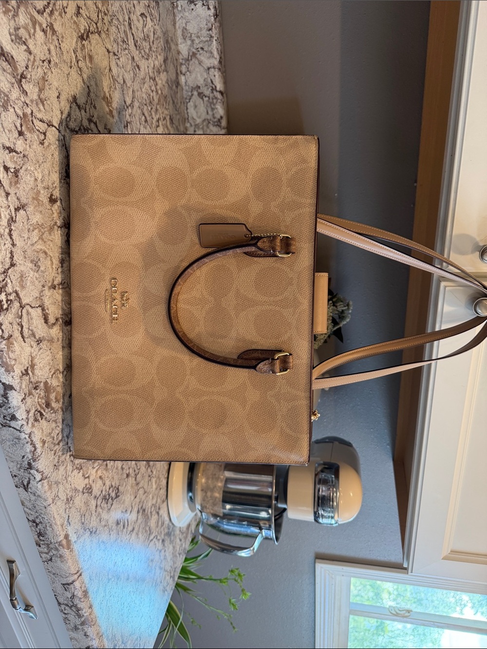 Coach Beige Signature Canvas Tote Bag - Coach